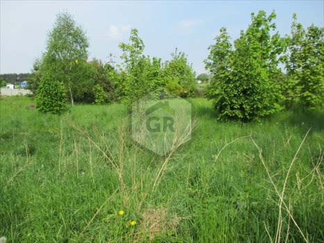Działka budowlana na sprzedaż Kościerzyna 1 442m2 Foto 5