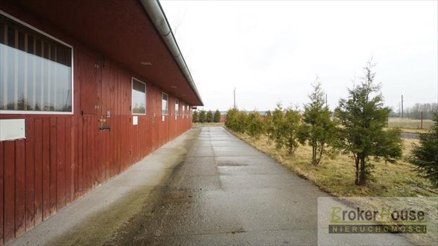 Lokal użytkowy na sprzedaż Bierdzany 350m2 Foto 10