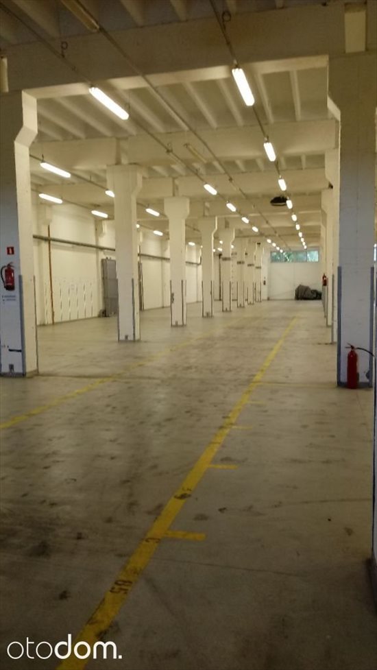 Lokal użytkowy na wynajem BEZPOSRENIO - Magazyn Białystok 2700 m2 - wys. 11m 2 700m2 Foto 8
