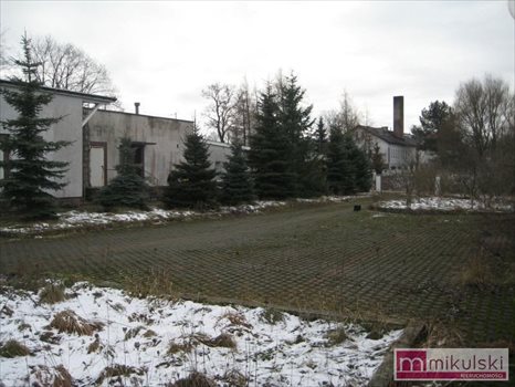 Lokal użytkowy na sprzedaż Maszewo, Centrum 1 050m2 Foto 9
