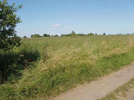 Działka budowlana na sprzedaż Pyrzyce 1 256m2 Foto 7