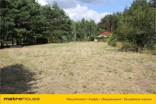 Działka rekreacyjna na sprzedaż Huta Dłutowska, Dłutów 1 250m2 Foto 3