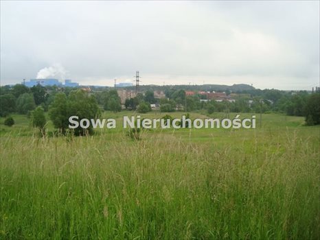 Działka inwestycyjna na sprzedaż Wałbrzych, Szczawienko 4 919m2 Foto 3