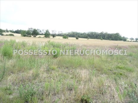 Dom na sprzedaż Strzegom 480m2 Foto 2