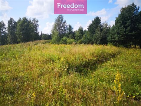 Działka budowlana na sprzedaż Orzechowo 25 000m2 Foto 11