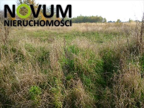 Działka inwestycyjna na sprzedaż Tarnowskie Góry 21 500m2 Foto 1