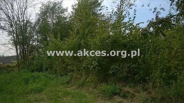 Działka budowlana na sprzedaż Łoś, Łoś, Polna 2 122m2 Foto 5