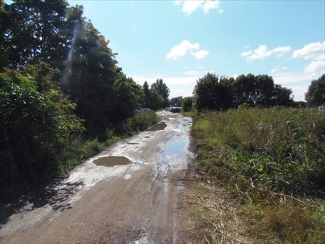 Działka inna na sprzedaż Nowy Dwór Gdański, Zagonowa 9 066m2 Foto 2
