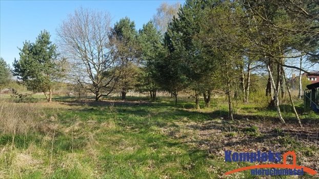 Działka budowlana na sprzedaż Szczecin, Jezierzyce 3 299m2 Foto 3