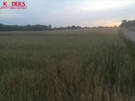 Działka rolna na sprzedaż Jackowo Dworskie 40 000m2 Foto 2