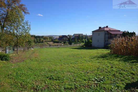 Działka budowlana na sprzedaż Wyszatyce 3 800m2 Foto 6