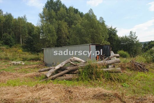 Działka budowlana pod dzierżawę Gosprzydowa 50 000m2 Foto 6