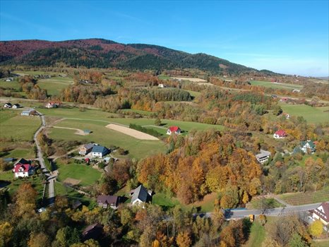 Działka budowlana na sprzedaż Przenosza 2 800m2 Foto 9