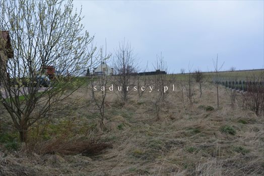 Działka budowlana na sprzedaż Mogilany 1 835m2 Foto 3