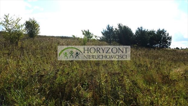Działka budowlana na sprzedaż Bielkówko 6 000m2 Foto 3