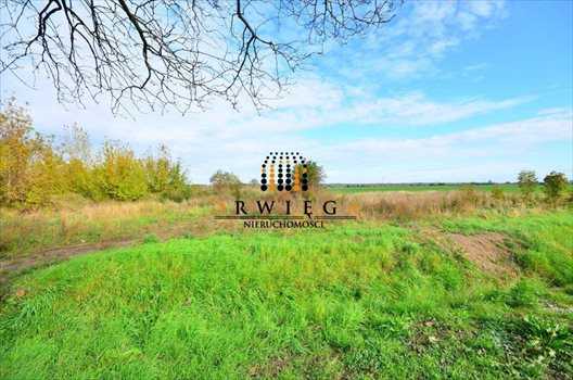 Działka budowlana na sprzedaż Gorzów Wielkopolski, Zakanale 997m2 Foto 4
