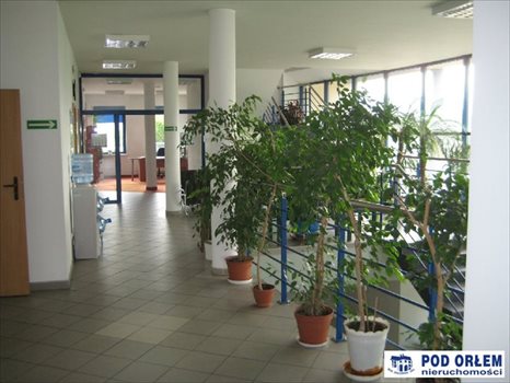 Lokal użytkowy na sprzedaż Bielsko-Biała, Komorowice Śląskie 600m2 Foto 4
