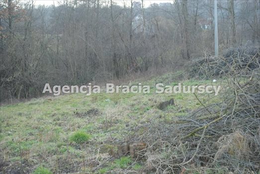 Działka budowlana na sprzedaż Trąbki 2 300m2 Foto 5