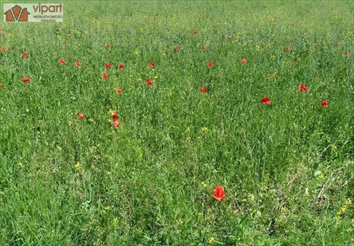 Działka budowlana na sprzedaż Świerczyniec 845m2 Foto 1
