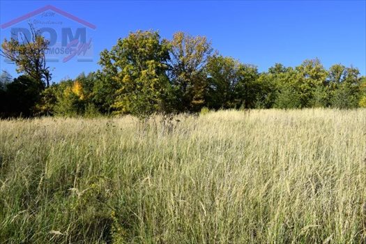 Działka inna na sprzedaż Drawsko Pomorskie, Jezioro, Las, Park, Rzeka, Tereny rekreacyjne, Okrzei 982m2 Foto 7