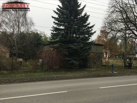 Działka inwestycyjna na sprzedaż Łódź, Górna, Kolumny 3 000m2 Foto 2