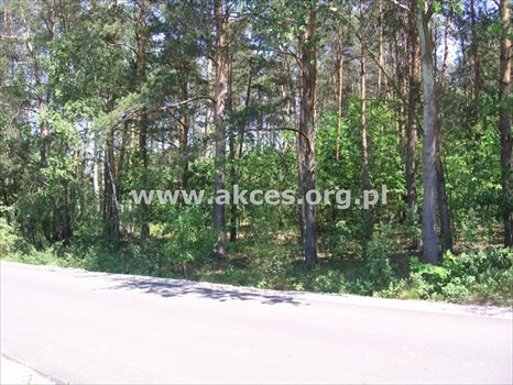 Działka budowlana na sprzedaż Budy-Grzybek, Kiepury 8 600m2 Foto 2