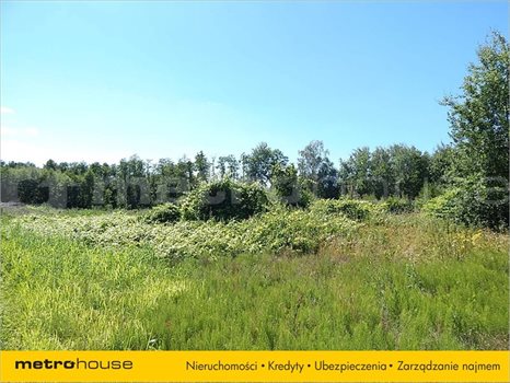 Działka rolna na sprzedaż Józefin, Chełm 4 920m2 Foto 5