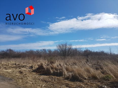 Działka inwestycyjna na sprzedaż Gdańsk, Lipce 3 792m2 Foto 4