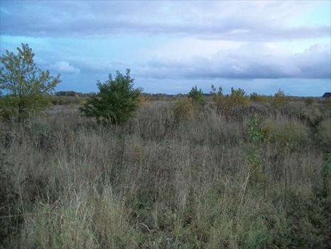 Działka rolna na sprzedaż Bezrzecze 1 279m2 Foto 3