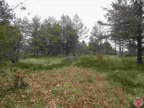 Działka budowlana na sprzedaż Kamień, Beżowa 1 152m2 Foto 3