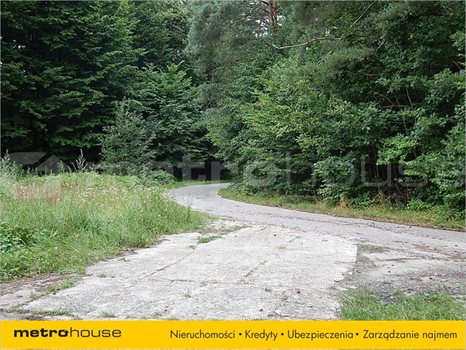 Działka inna na sprzedaż Janów, Chełm 41 200m2 Foto 2