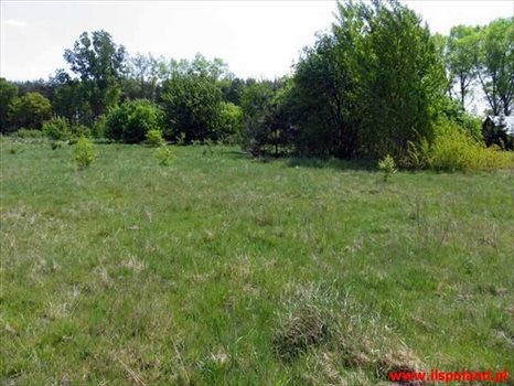 Działka inna na sprzedaż Mzdowo, ŚRÓDMIEŚCIE-CENTRUM 38 600m2 Foto 2