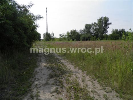 Działka budowlana na sprzedaż Siechnice 2 772m2 Foto 12