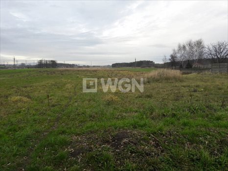 Działka budowlana na sprzedaż Smardów, Smardów 1 000m2 Foto 5