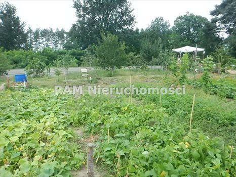 Dom na wynajem Kulów 70m2 Foto 6