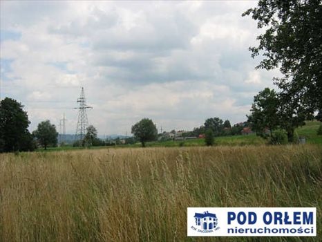 Działka rolna na sprzedaż Pietrzykowice 3 943m2 Foto 5