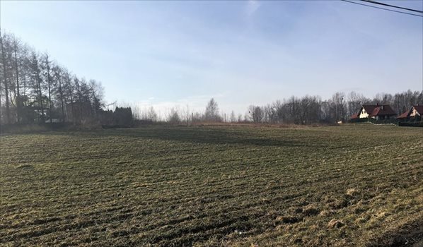Działka budowlana na sprzedaż Mikołów, Gniotek, Rolnicza 771m2 Foto 2