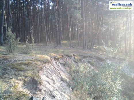 Działka rekreacyjna na sprzedaż Szarbsko 4 570m2 Foto 3