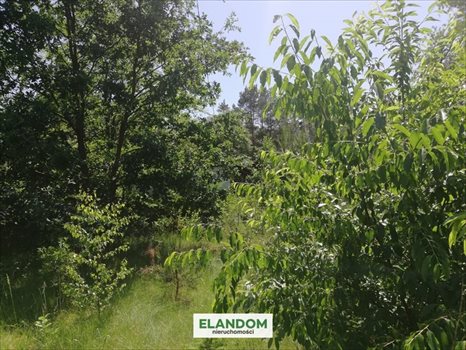 Działka budowlana na sprzedaż Józefów 811m2 Foto 6
