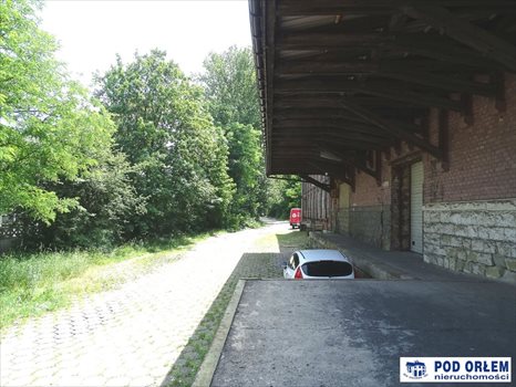 Lokal użytkowy na wynajem Bielsko-Biała, Centrum 489m2 Foto 5