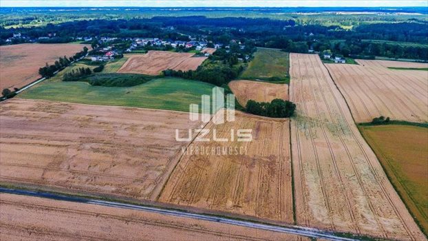 Działka inna na sprzedaż Szpęgawsk, Jezioro, Kościół, Las, Przystanek autobusowy, Szko, brak 38 300m2 Foto 5