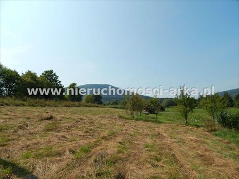 Działka budowlana na sprzedaż Dobra 1 500m2 Foto 2