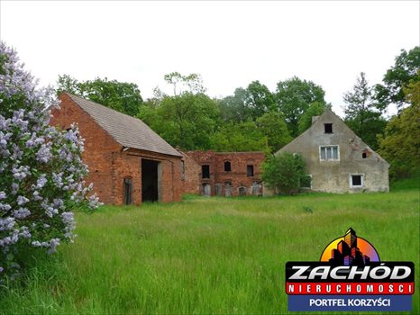 Działka budowlana na sprzedaż Przytok 22 600m2 Foto 9