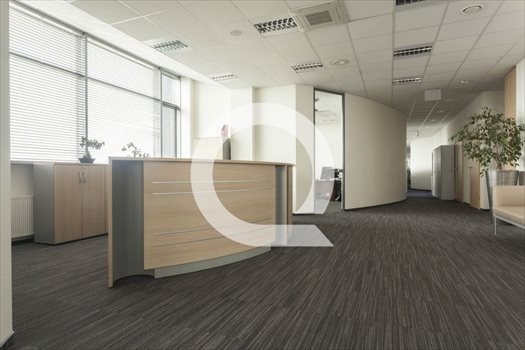 Lokal użytkowy na wynajem Gdańsk, Wrzeszcz 850m2 Foto 4