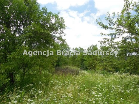 Działka budowlana na sprzedaż Kraków, Nowa Huta, Branice, Igołomska 3 859m2 Foto 7