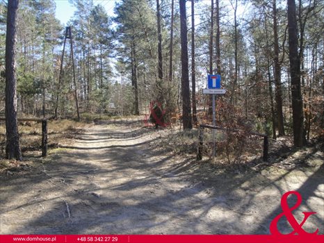 Działka leśna na sprzedaż Borek Kamienny 3 100m2 Foto 3