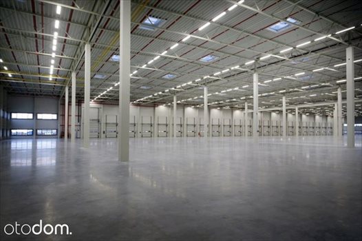 Lokal użytkowy na wynajem Bydgoszcz, Fordon 21 000m2 Foto 5