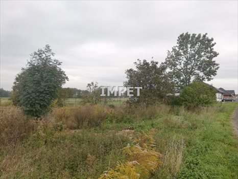 Działka inna na sprzedaż Trójca 1 859m2 Foto 8