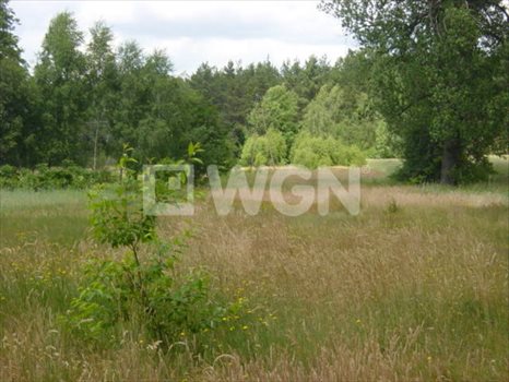 Działka budowlana na sprzedaż Przygodzice, okolice Przygodzic 4 600m2 Foto 3