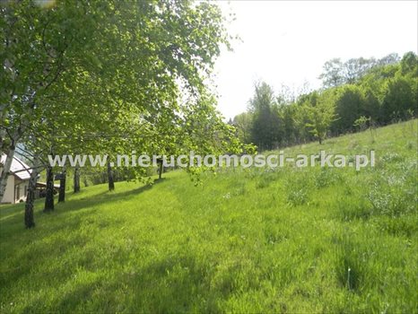 Działka budowlana na sprzedaż Limanowa 5 500m2 Foto 3